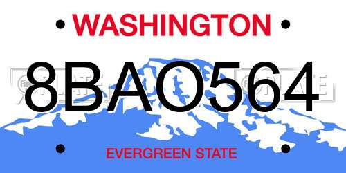 8BAO564 Washington License Plate