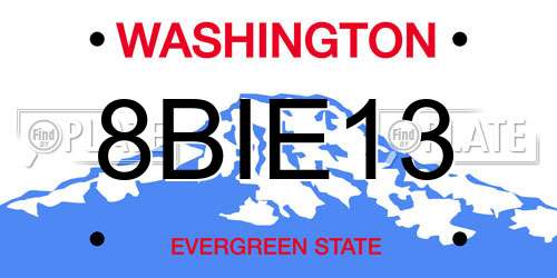 8BIE13 Washington License Plate