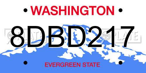 8DBD217 Washington License Plate