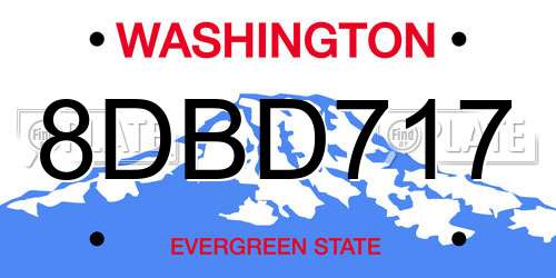 8DBD717 Washington License Plate