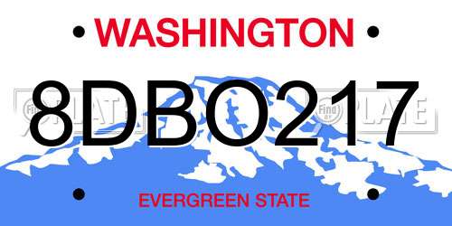 8DBO217 Washington License Plate
