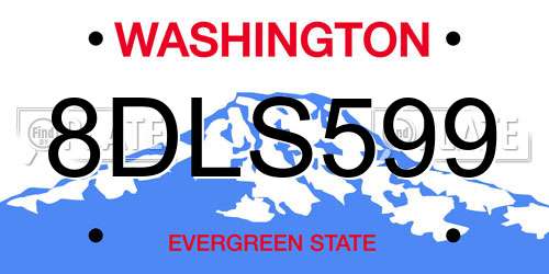 8DLS599 Washington License Plate