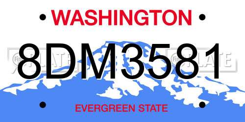 8DM3581 Washington License Plate