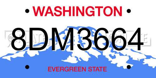 8DM3664 Washington License Plate