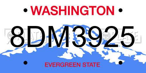 8DM3925 Washington License Plate