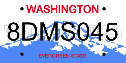 8DMS045 Washington License Plate