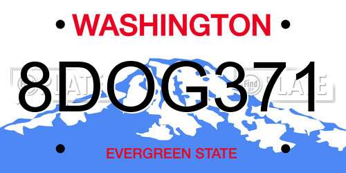 8DOG371 Washington License Plate