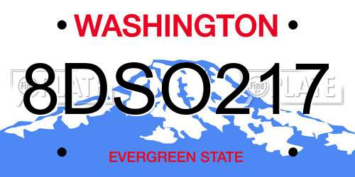 8DSO217 Washington License Plate