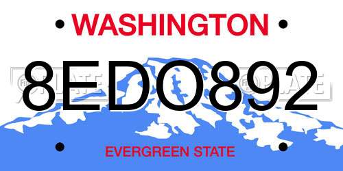 8EDO892 Washington License Plate