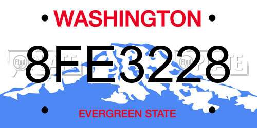 8FE3228 Washington License Plate