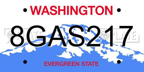 8GAS217 Washington License Plate