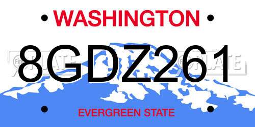 8GDZ261 Washington License Plate
