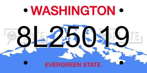 8L25019 Washington License Plate
