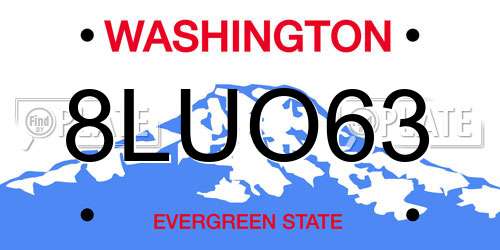 8LUO63 Washington License Plate