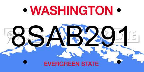 8SAB291 Washington License Plate