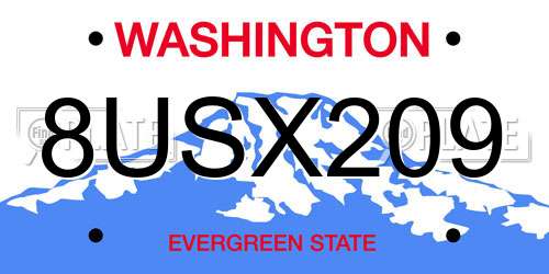 8USX209 Washington License Plate