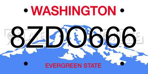 8ZDO666 Washington License Plate