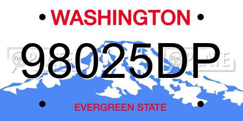98025DP Washington License Plate