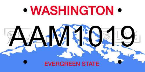 AAM1019 Washington License Plate
