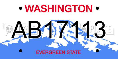 AB17113 Washington License Plate