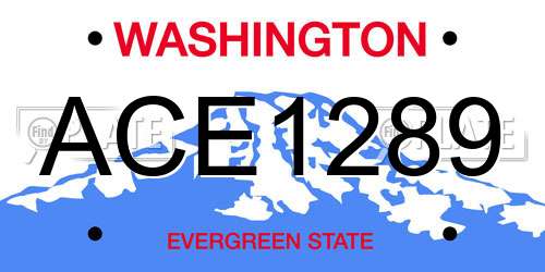 ACE1289 Washington License Plate