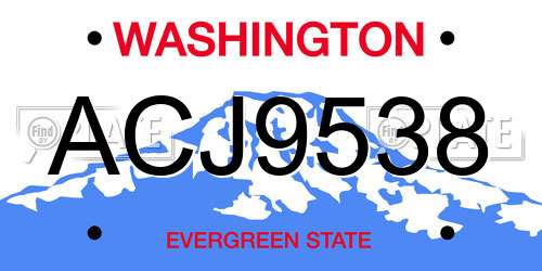 ACJ9538 Washington License Plate