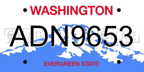 ADN9653 Washington License Plate