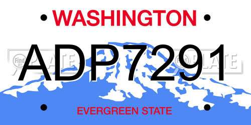 ADP7291 Washington License Plate