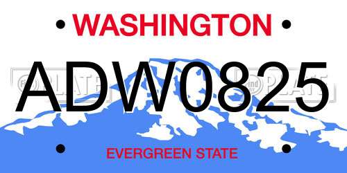 ADW0825 Washington License Plate