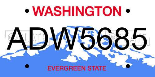 ADW5685 Washington License Plate