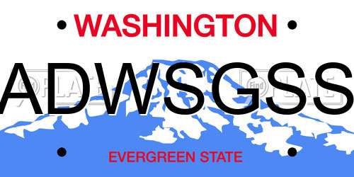 ADWSGSS Washington License Plate
