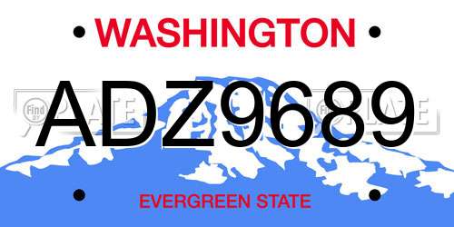 ADZ9689 Washington License Plate