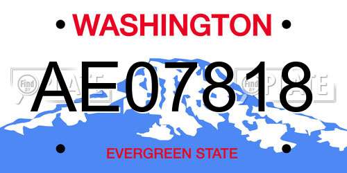 AE07818 Washington License Plate
