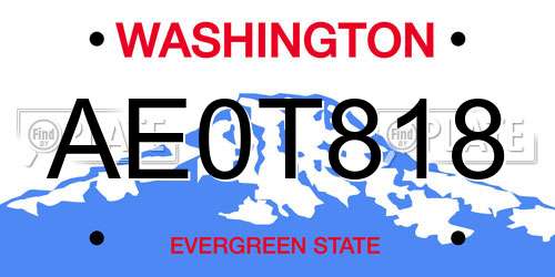 AE0T818 Washington License Plate