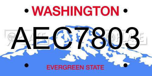AEC7803 Washington License Plate