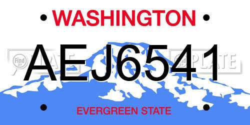 AEJ6541 Washington License Plate