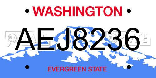 AEJ8236 Washington License Plate