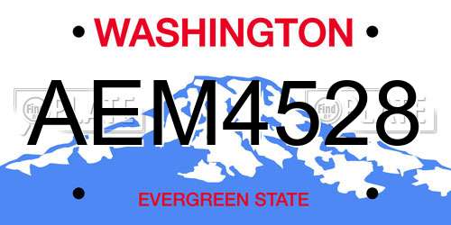 AEM4528 Washington License Plate