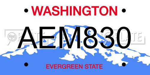 AEM830 Washington License Plate