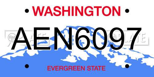AEN6097 Washington License Plate