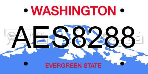 AES8288 Washington License Plate