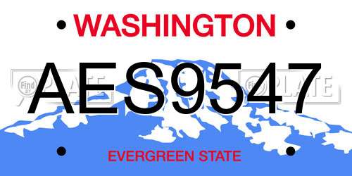 AES9547 Washington License Plate