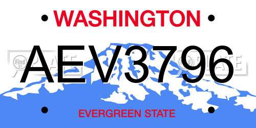 AEV3796 Washington License Plate