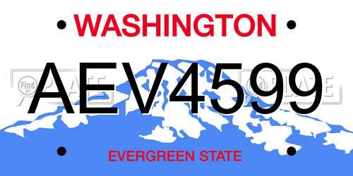 AEV4599 Washington License Plate