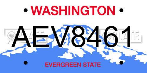 AEV8461 Washington License Plate