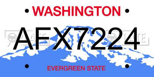 AFX7224 Washington License Plate