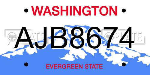 AJB8674 Washington License Plate