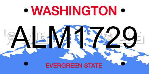 ALM1729 Washington License Plate