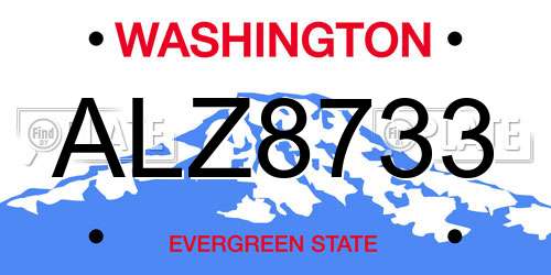 ALZ8733 Washington License Plate