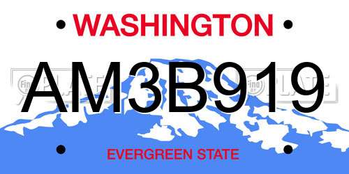 AM3B919 Washington License Plate